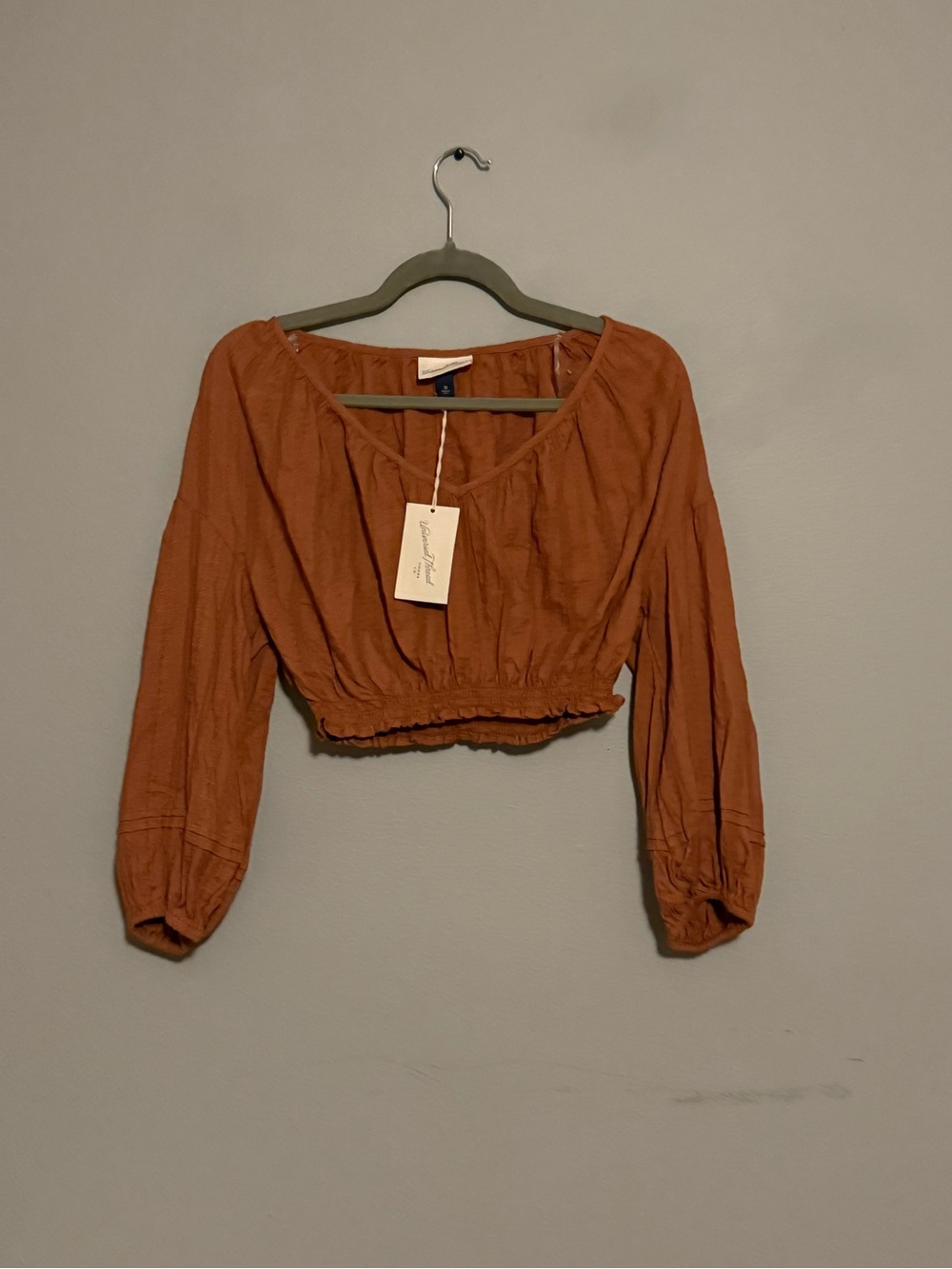 Universal Thread Rust Cropped Peasant Top